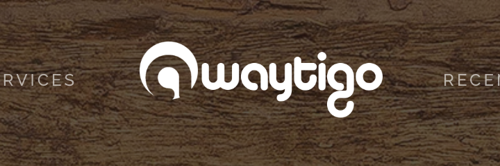 Previous Waytigo logo cropped from the old website